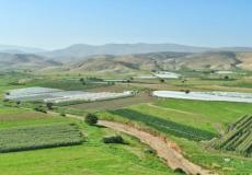 منطقة الأغوار الشمالية- فلسطين