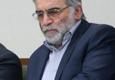 العالم الإيراني محسن فخري زاده