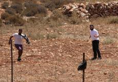 مستوطنون يهاجمون الاراضي الزراعية الفلسطينية 