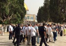 عشرات المستوطنين يقتحمون "الأقصى"أرشيف