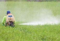 الزراعة بغزة تنفي وجود قرار يمنع استيراد المبيدات
