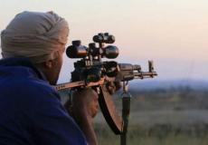 توريد الاسلحةالي ليبيا