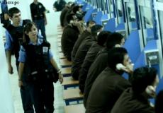 مركز الأسرى للدراسات