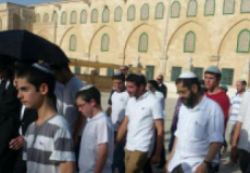 مستوطنون يقتحمون الأقصى