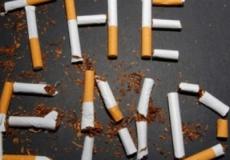 التدخين يقتل شخصاً واحداً كل 8 ثوانٍ