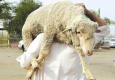 موعد عيد الاضحى