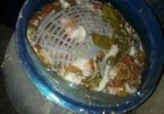 اتلاف مواد فاسدة من قبل الطواقم الجمركية ووزارة الصحة