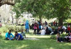 شم النسيم ٢٠١٩ - أرشيف