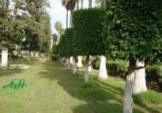 حديقة عامة 