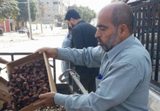 مباحث التموين 
