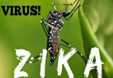فيروس زيك