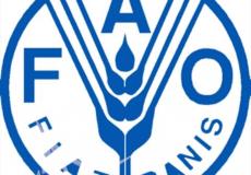 منظمة الأغذية والزراعة للأمم المتحدة "فاو"