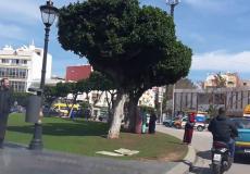 فضيحة طنجة - توضيحية