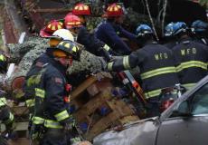 اعصار فلورنس