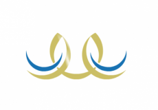 نتائج نظام نور برقم الهويه الوطنيه