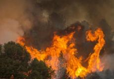 صورة أرشيفية لأحد الحرائق في غابة بولاية كاليفورنيا