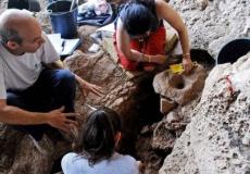 الكشف عن "أقدم معمل للجعة" في التاريخ في حيفا