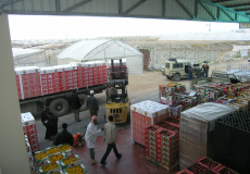 طرود غذائية 