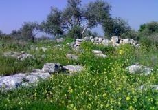 البيئة تدعو لزيارة المحميات الطبيعية لتعزيز الوجود الفلسطيني 