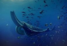 شاهد: العثور على مخلوق بحري عملاق 