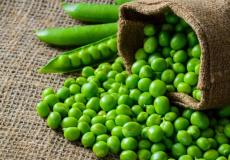  البازلاء الخضراء كنز من الفائدة الصحية تعرف على ذلك 