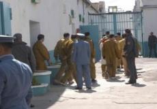 اخر اخبار العفو عن المساجين في الجزائر 2019