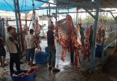 توزيع الاضاحي