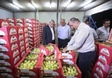 قلقيلية: تصدير أول شحنة جوافة إلى الأردن