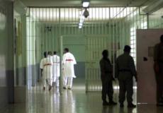 السجون في الامارات - توضيحية 