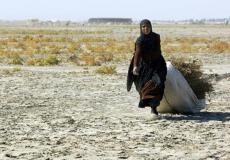 إصابة  موجة الجفاف الشديدة  المزراعين العراقين  مما  عاد عليهم  بخسارة  نصف  أرضهم  هذا العام