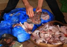 بلدية خانيونس ضبط لحوم غير صالحة للاستخدام الادمي