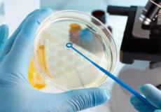 مختبرات وزارة الصحة