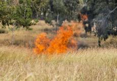 حرائق غلاف غزة - توضيحية 