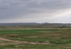 تجريف أراض زراعية في تل عراد، اليوم