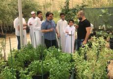 حديقة القران النباتية في قطر 