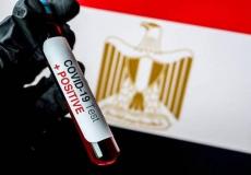 كورونا مصر
