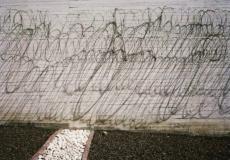 اسماء المشمولين في العفو الرئاسي في رمضان 2019