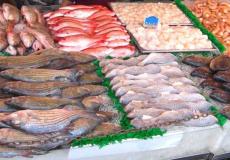 تحذيرات من سمكة جديدة ودعوات لقتلها