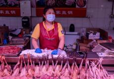 الصين تمنع ذبح الدواجن وبيعها في الأسواق خشية كورونا