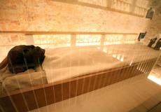 توت عنخ آمون