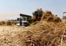 مركز استلام الحبوب في السويداء