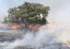 حريق اندلع  اليوم في منطقة مفلاسيم بغلاف غزة بفعل بالون حارق