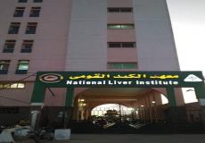 معهد الكبد القومي في جامعة المنوفية المصرية