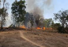 اندلاع حريق في الجبل بين سخنين و يودفات احتراق 30 دونما