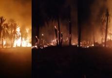 حريق ضخم في مزارع نخيل غرب نجران
