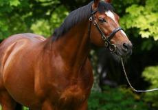 مهر إنجليزي بـ 887 ألف دولار