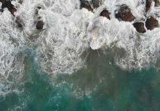 مياه الساحل