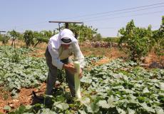 المزارعين الفلسطينيين بالضفة الغربية