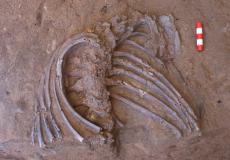 شاهد: أكتشاف أثري في العراق قد يفجر مفاجآت عن الإنسان القديم