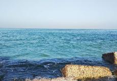 شاهد: وفاة أمريكي غرقا أثناء عرضه الزواج على حبيبته